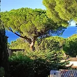 Un Petit Paradis A Gigaro La Croix-Valmer