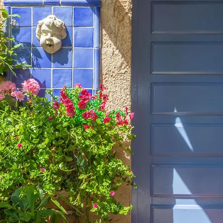 Daire Un Petit Paradis A Gigaro