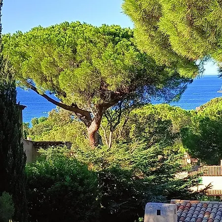 Un Petit Paradis A Gigaro La Croix-Valmer