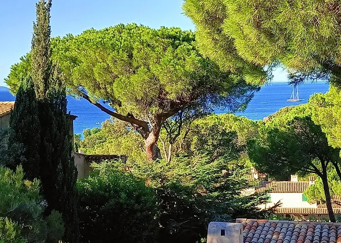 Un Petit Paradis A Gigaro La Croix-Valmer