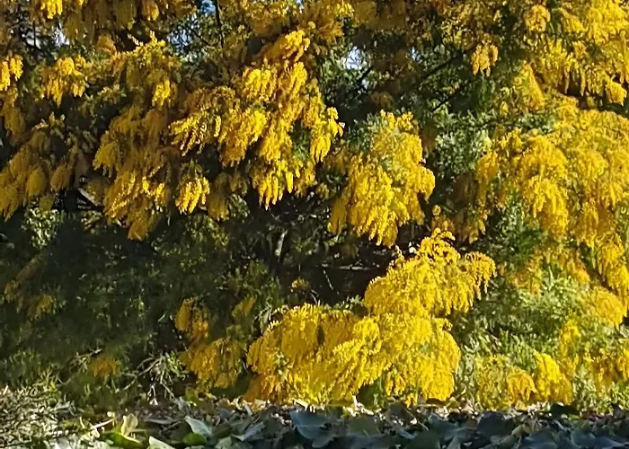 Un Petit Paradis A Gigaro *